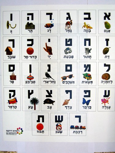 הא-ב של ה – NBA